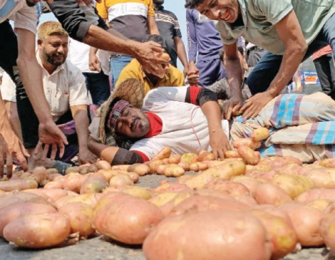সড়কে আলু ফেলে বিক্ষোভ করেছেন কৃষকরা