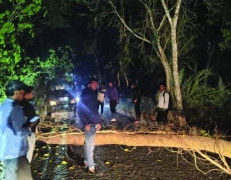 মধ্যরাতে রাস্তায় গাছ ফেলে ডাকাতি