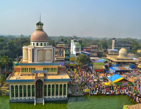 বাবার পরিবর্তে চাচাকে পিতা বানিয়ে মুক্তিযোদ্ধা ভাতা আত্মসাৎ