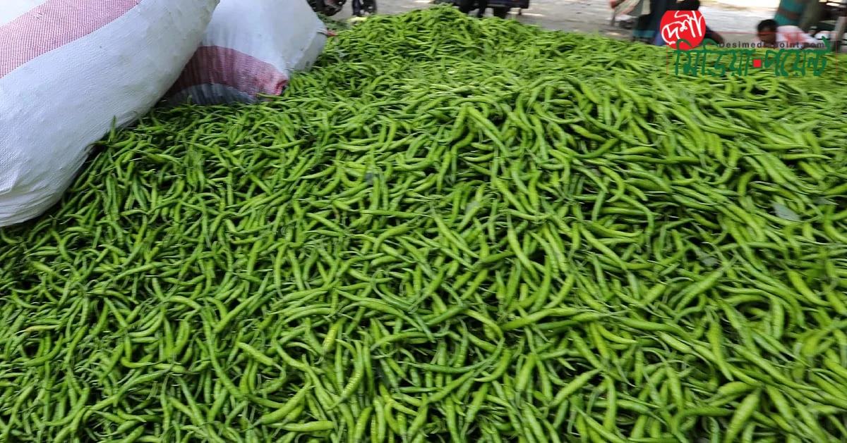 মূল্য নিয়ন্ত্রণে কাঁচা মরিচ আমদানির অনুমতি দিল সরকার